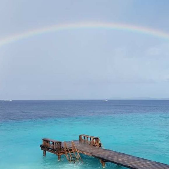 Meet your Posher, Lori - Picture 1 of 1